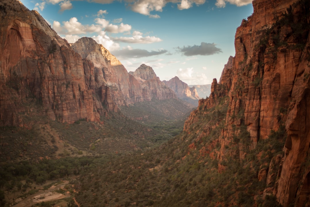 9 best family-friendly hikes in Zion National Park