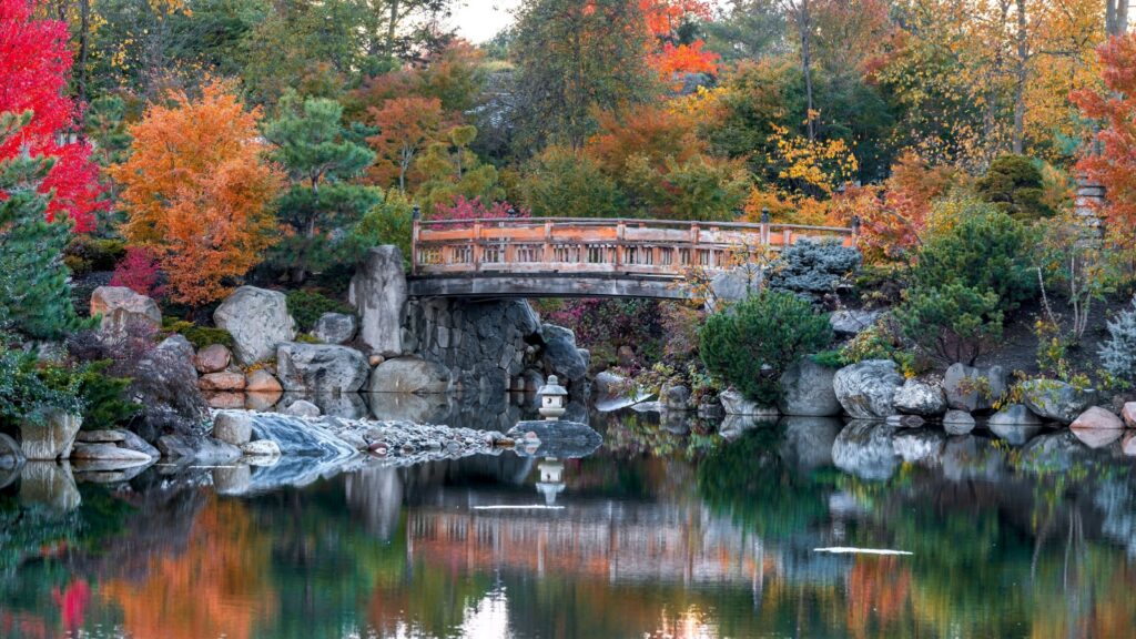 Panoramic view of walking bridge in scenic Frederik Meijer gardens in autumn time in Grand Rapids, Michigan.