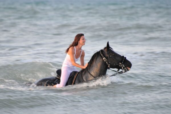 young woman swimming winth her black stallion horse in the sea