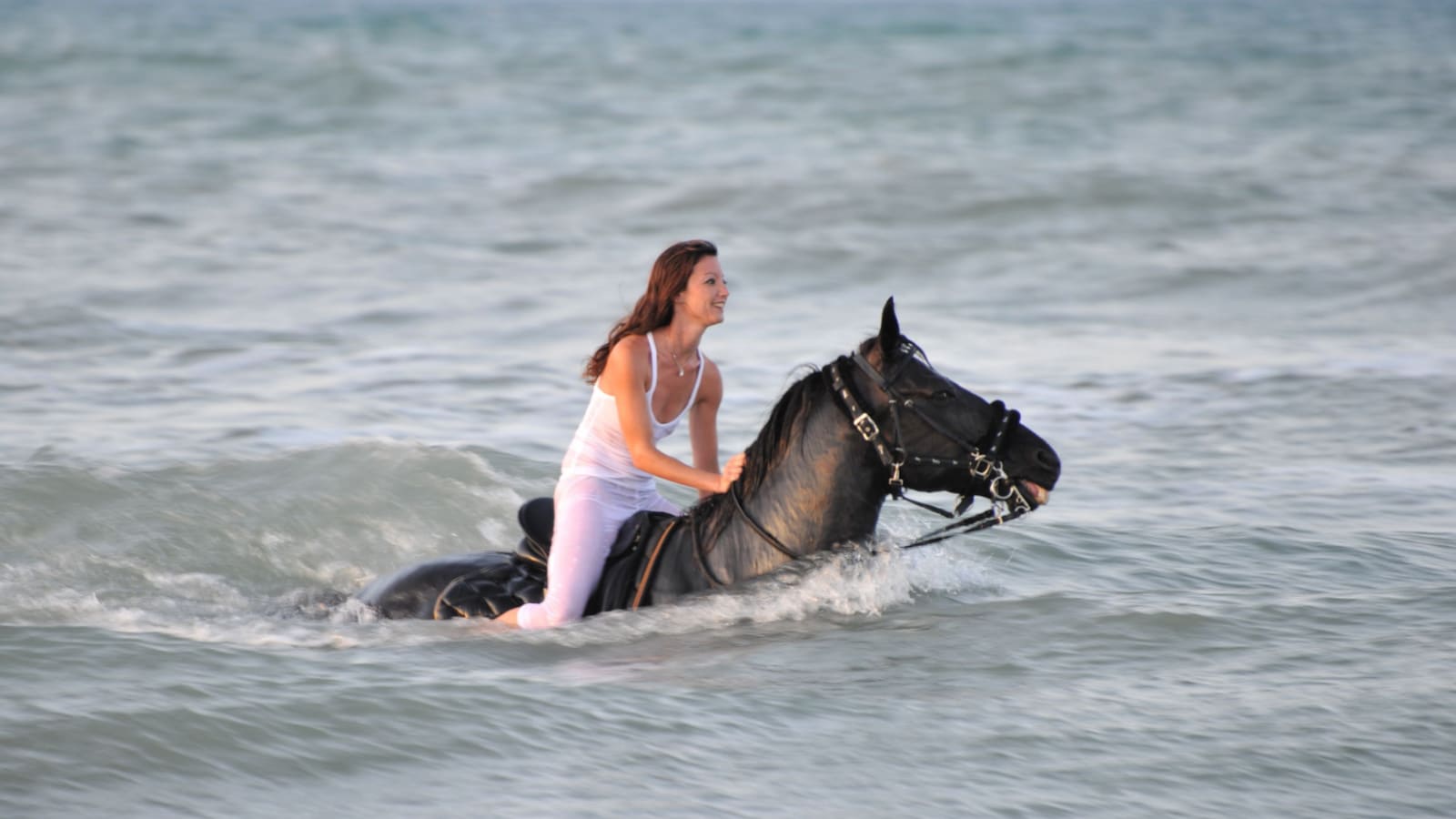 young woman swimming winth her black stallion horse in the sea