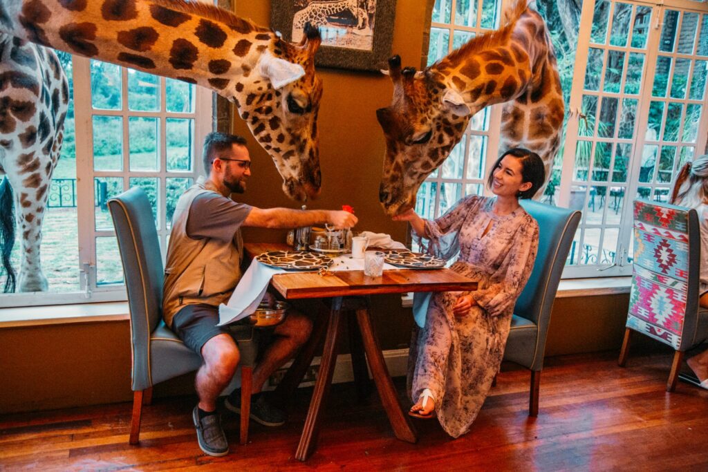 Giraffe Manor