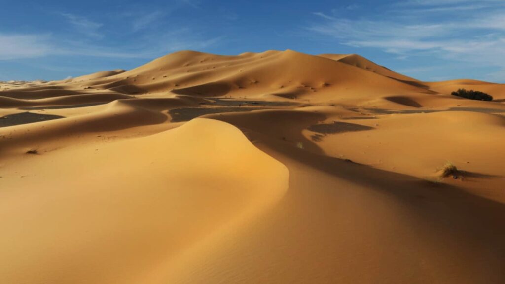 Sahara desert