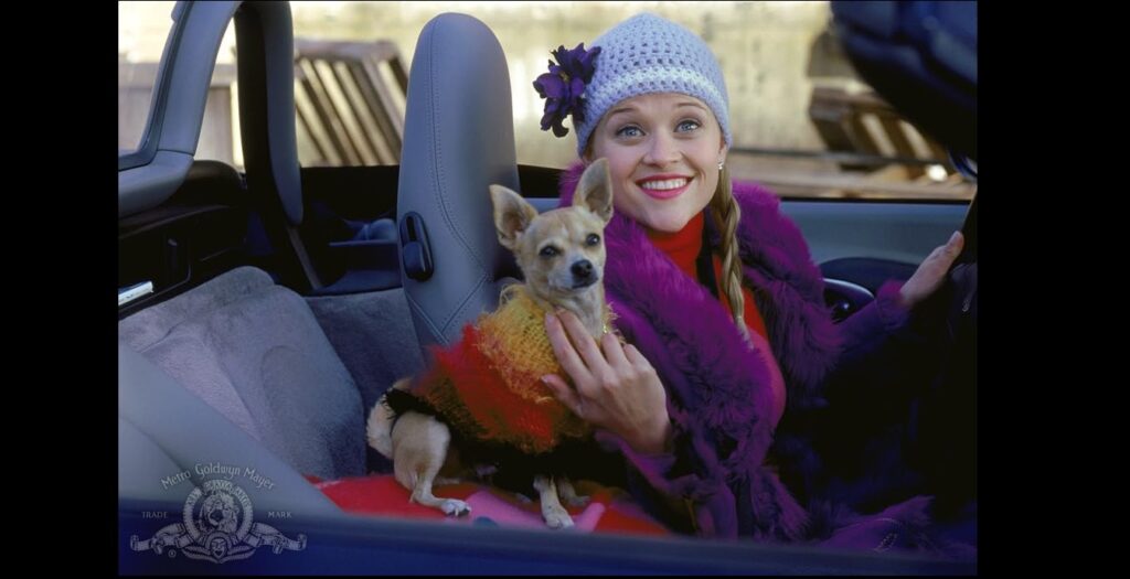 Reese Witherspoon and Moonie in Legally Blonde (2001)