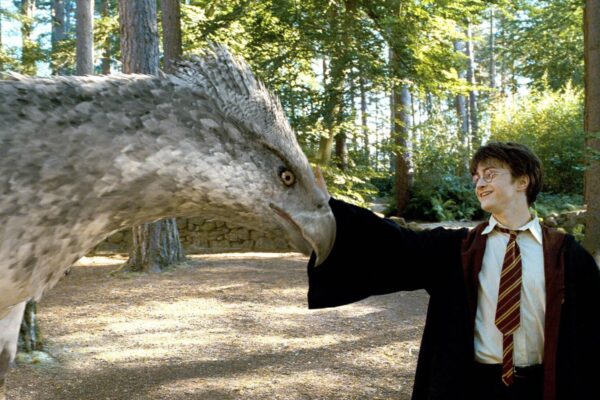 Daniel Radcliffe in Harry Potter and the Prisoner of Azkaban (2004)