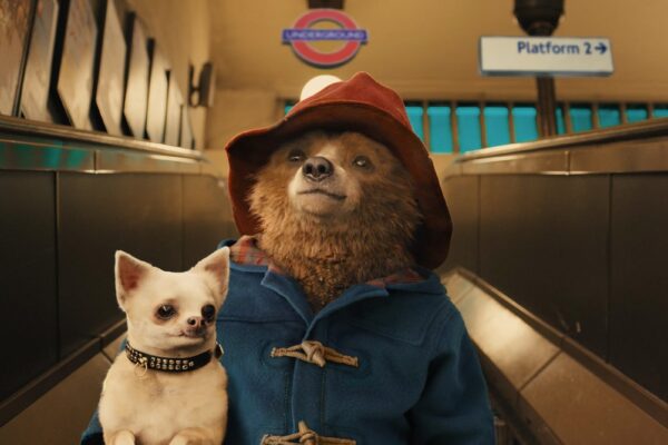 Paddington Brown